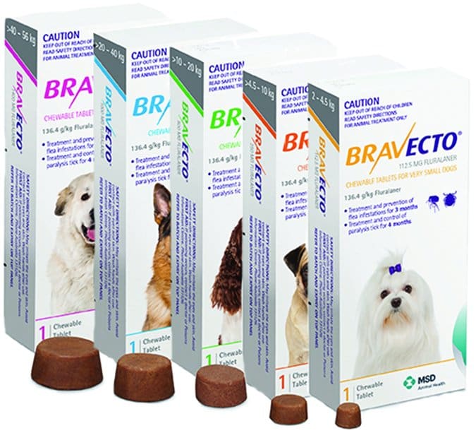 bravecto flea control