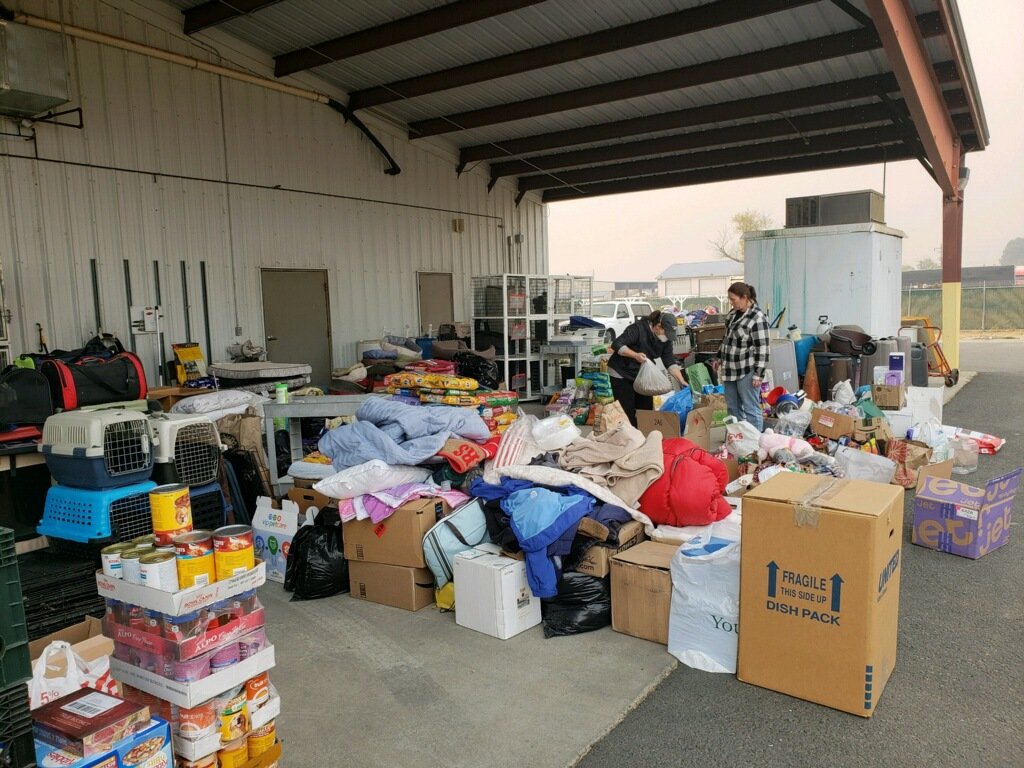 animal shelter daily donation camp fire