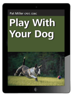 Play With Your Dog - Ebook
