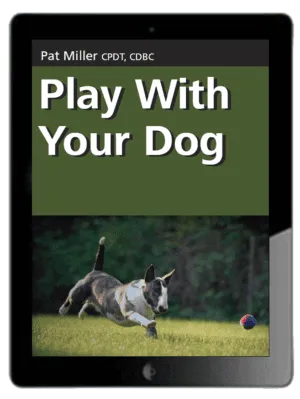 Play With Your Dog - Ebook