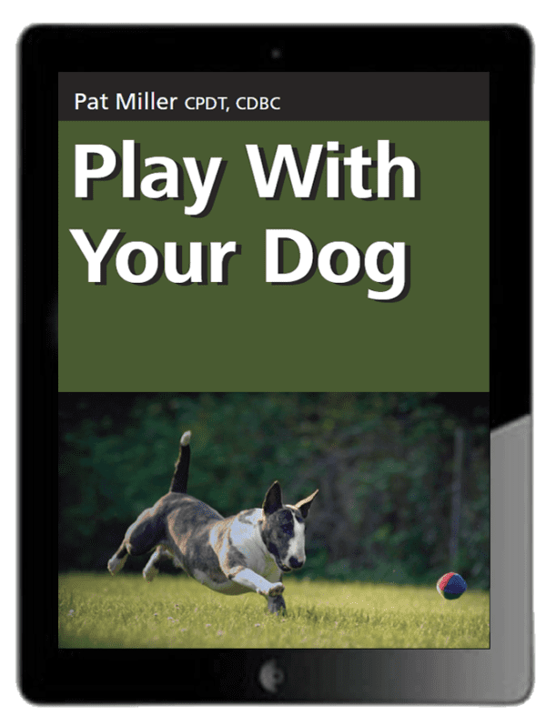 Play With Your Dog - Ebook