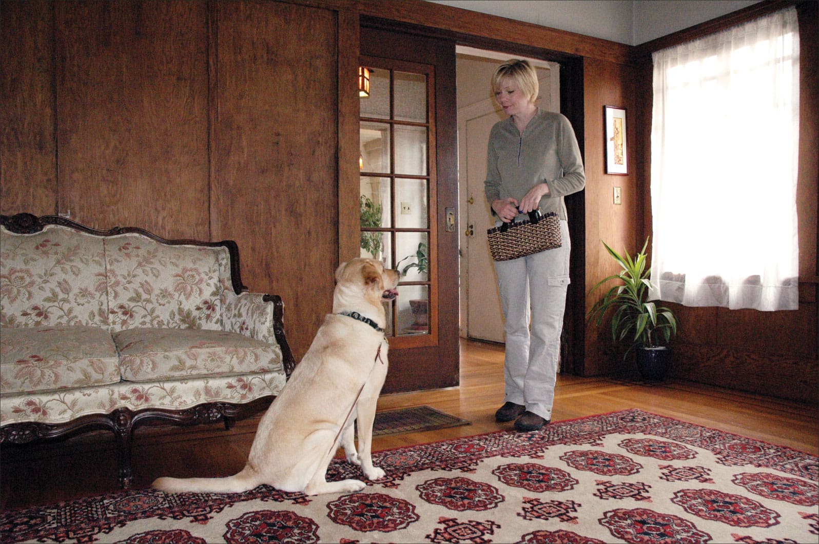 private dog training session at home