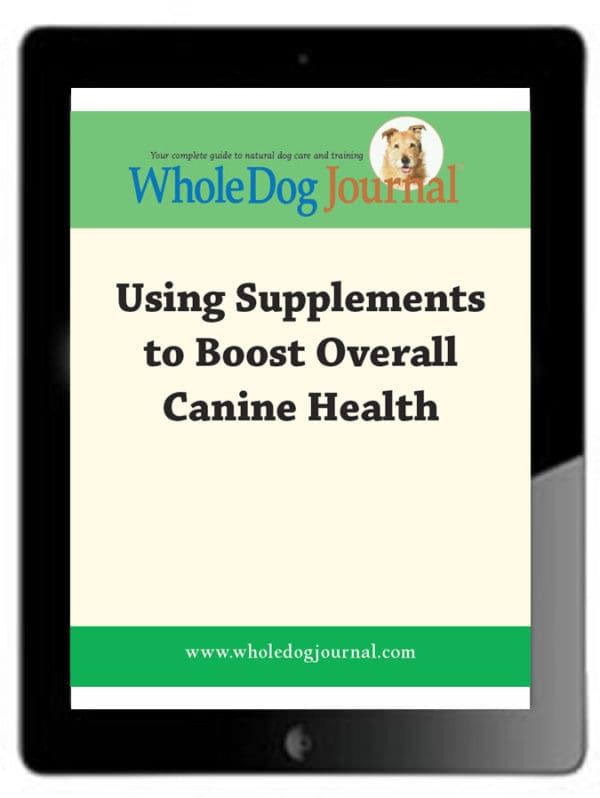 Using Supplements To Boost Overall Canine Health