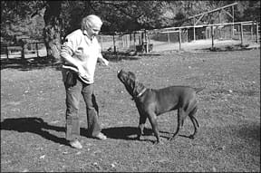 Dog Training Methods