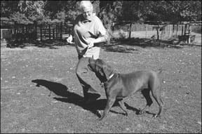 Dog Training Methods