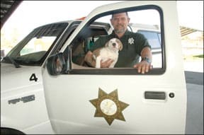 An Animal Control Officer poses with a puppy in front of his animal control truck