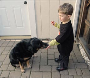 Clicker and Treats