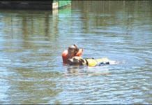 Canine swimming lessons make for fun exercise that also helps keep your dog safe.
