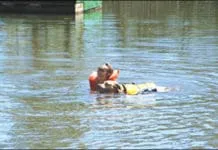 Canine swimming lessons make for fun exercise that also helps keep your dog safe.