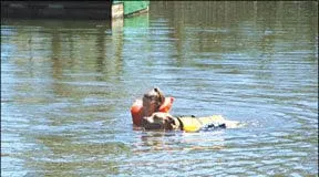 Canine swimming lessons make for fun exercise that also helps keep your dog safe.