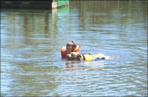 Canine Swimming