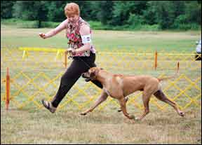 Revodana Ridgebacks