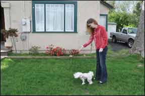 Training Hearing Impaired Dogs