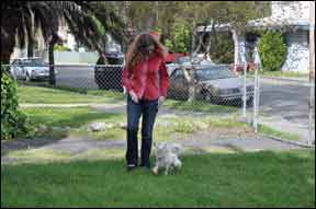 Training Hearing Impaired Dogs