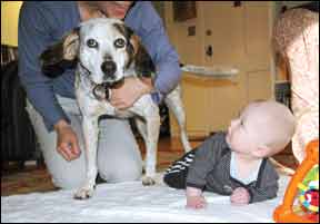 Dogs and Children