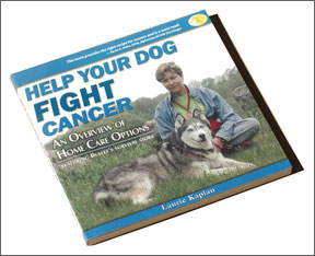 Help Your Dog Fight Cancer