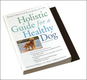 Holistic guide for a healthy sales dog