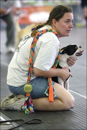 High-Energy Canine Competitions