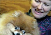 Dog bite inhibition plays a key role in preventing nips and playful biting.