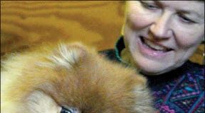 Dog bite inhibition plays a key role in preventing nips and playful biting.
