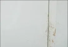 Compulsive scratching at doors can indicate separation anxiety in dogs which is causing them to act out.