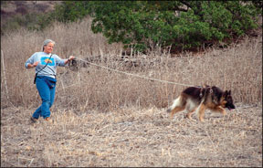 Canine Sport of Tracking