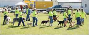 K9 Drill and Demo Teams