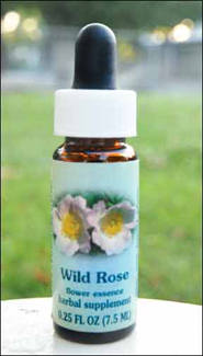 Rose flower essence