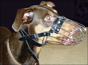 Dog Muzzle