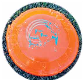 Best frisbee clearance for dogs