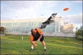 Best Frisbee Disc for Dogs