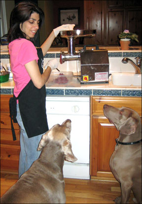Feeding Home Prepared Dog Food