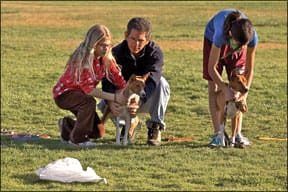 Lure Coursing