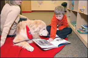 Autism Assistive Dogs 