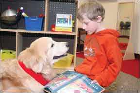 Autism Assistive Dogs 