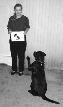 teaching a dog to read