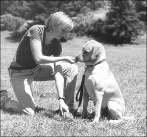 Dog Training Against Unwanted Canine Behaviors