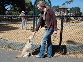 A trainer and her dog outside a playground