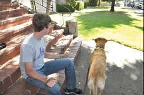 Train Your Dog to Walk on Leash