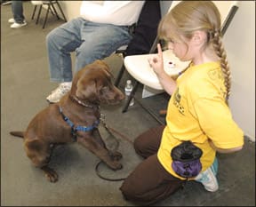 Training The Family Dog