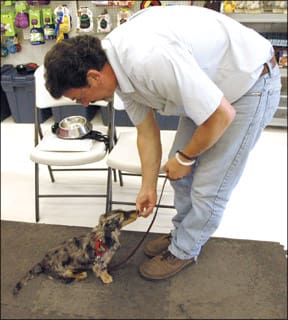 Puppy Class