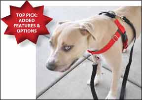 Sensation no pull dog on sale harness