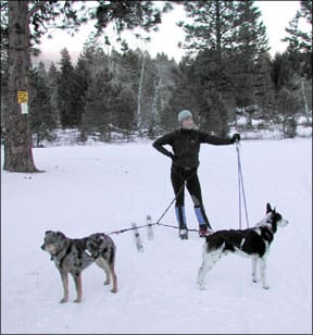 skijoring