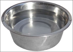 Dog Food Bowls