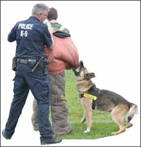 police dog training