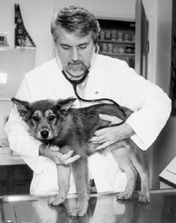 Canine Respiratory System
