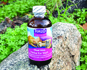 Halo cloud nine sales herbal ear wash