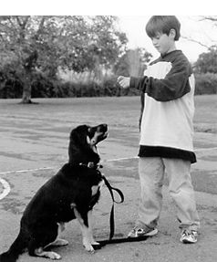 kid training dog