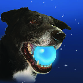 Meteorlight shop dog ball