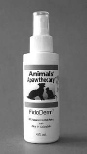 remedies for itchy skin in dogs